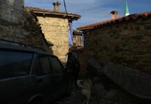 A Day in the Serbian Parliament