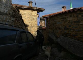 A Day in the Serbian Parliament