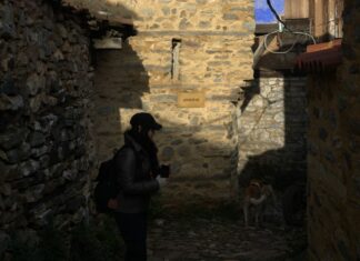 Observations from the Serbian Parliament