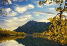 The Marketplace in Ephesus