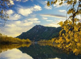 The Marketplace in Ephesus