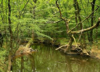 Pergamum The Religious City