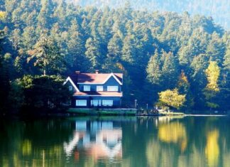 Praise for the Church in Ephesus