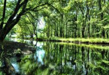 Paul’s Warning to the Church in Ephesus