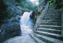 Hard Times During the Great Depression