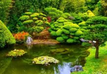 Christians in Constantinople After the Conquest