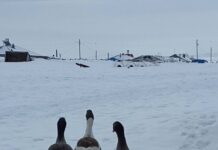 The Fall of Moravievs Government