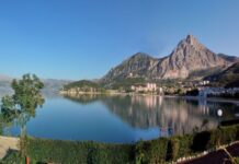 Wine Trade Between Greece and Egypt