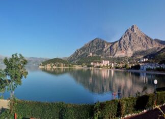 Wine Trade Between Greece and Egypt