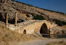 Cambyses and the Test of Madness