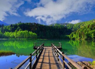 Croesus and the Expansion of the Lydian Empire