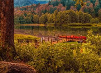 Croesus Rejoices at the Oracles Reply