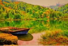 Croesus Examines the Greek States