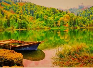 Croesus Examines the Greek States